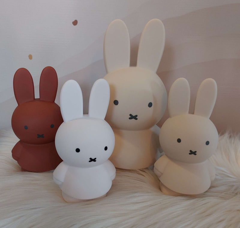 ''Atelier Pierre'' spaarpot Nijntje powder (met naam)