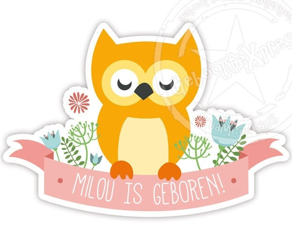 Raamsticker geboorte met uiltje voor een meisje.