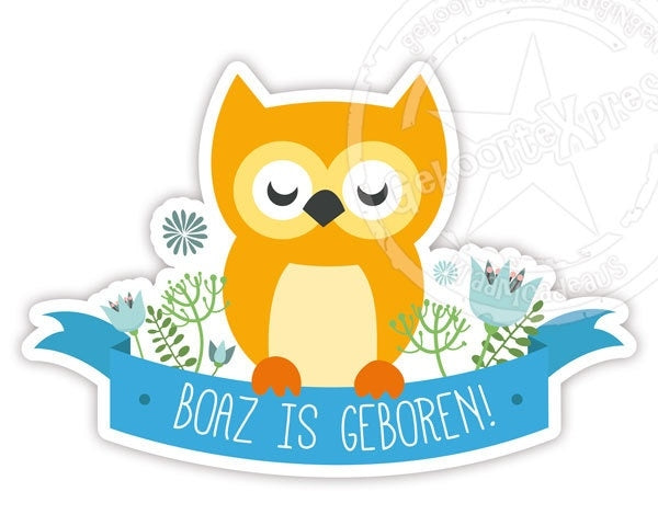 Raamsticker geboorte met uiltje voor een jongen.