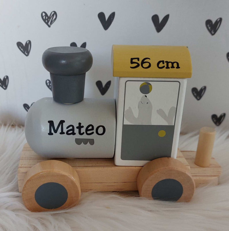 ''Tryco'' houten dierentrein (met naam/geboortegegevens)