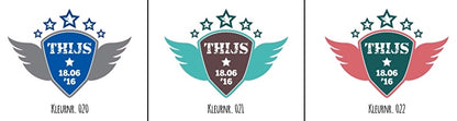 Raamsticker jongen Wings, diverse kleuren