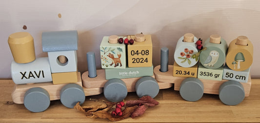Little Dutch Forest Friends  blokkentrein met geboortegegevens