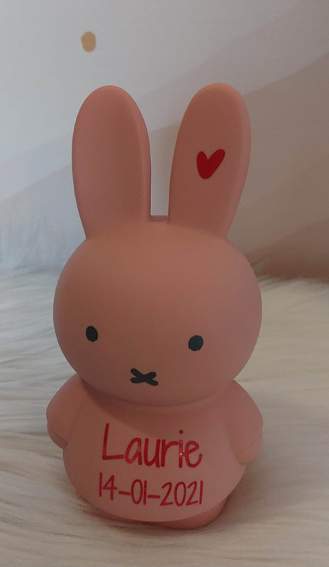 ''Atelier Pierre'' spaarpot Nijntje powder  (met naam)