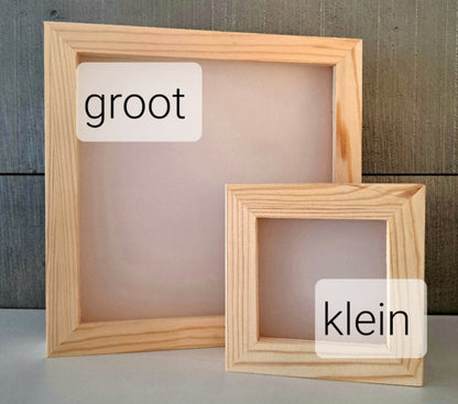 houten/ plexiglas spaarpot met naam 'zwaantje'
