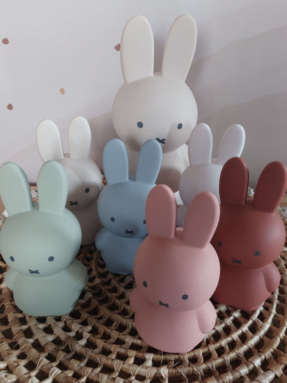 ''Atelier Pierre'' spaarpot Nijntje eucalyptus  (met naam) klein