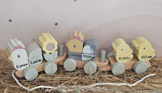 Little Dutch Little Farm blokkentrein KIP met geboortegegevens