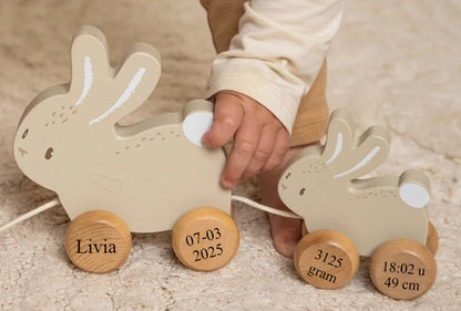 Little Dutch Little Farm trekdier konijnen baby bunny met naam